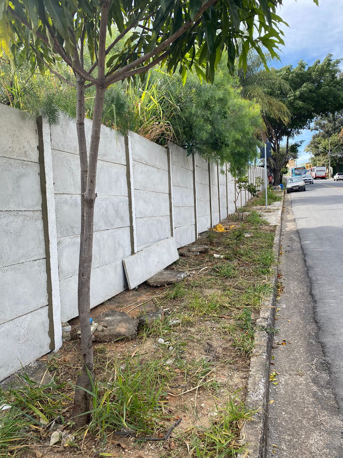 Obra 15